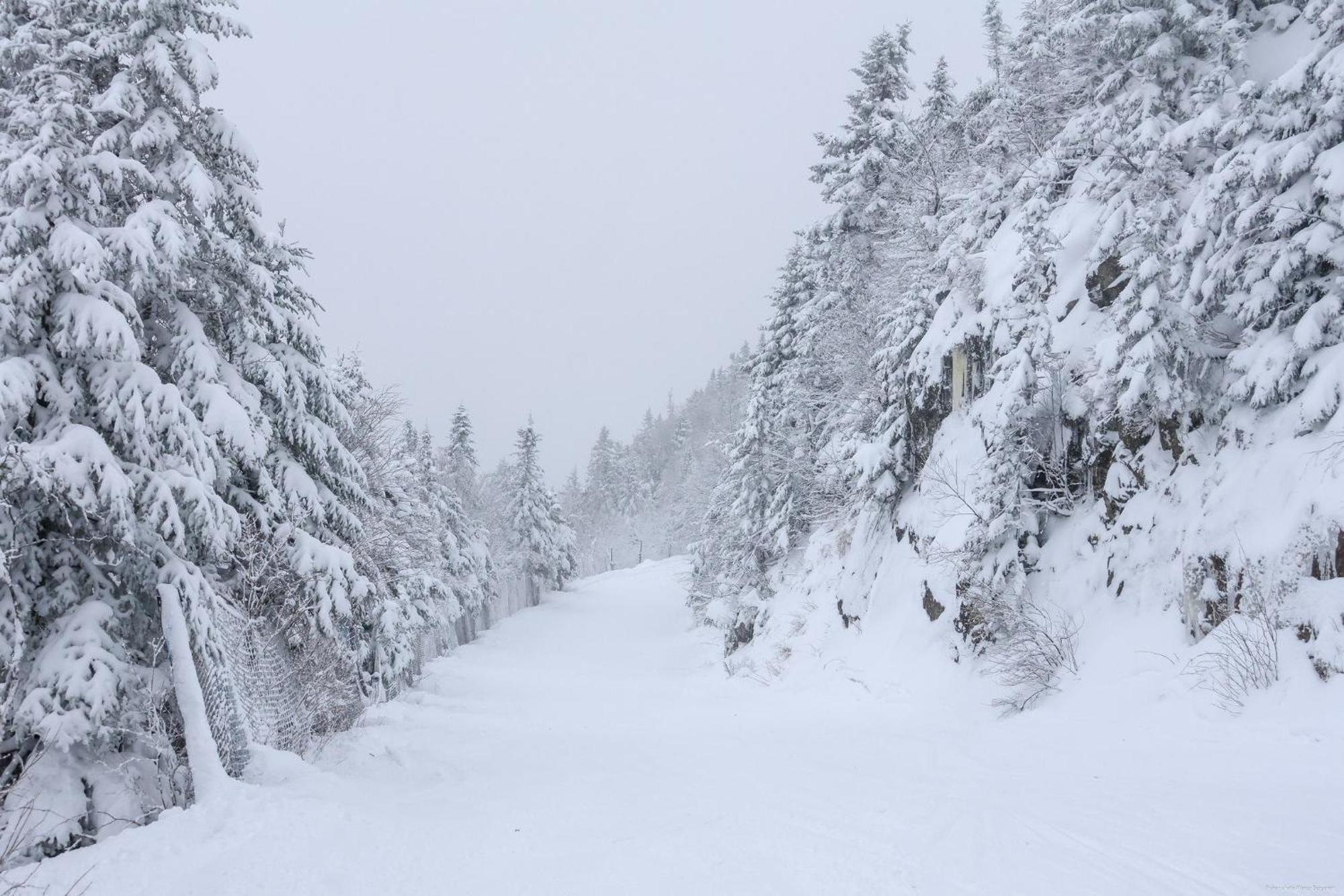 O'Berge Du Village C304 - Bord De L'Eau Magog Kültér fotó